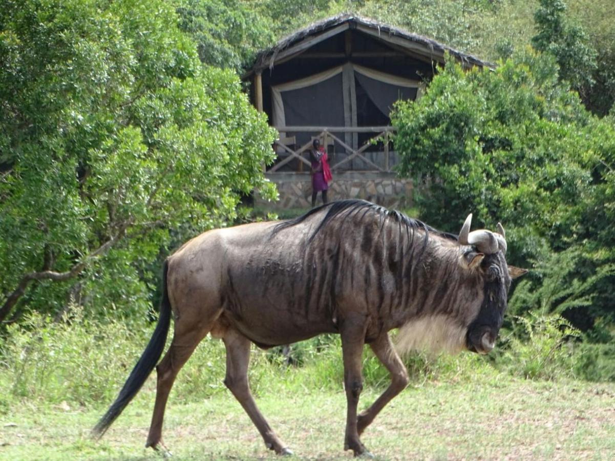 Fig Tree Camp - Maasai Mara Otel Talek Dış mekan fotoğraf