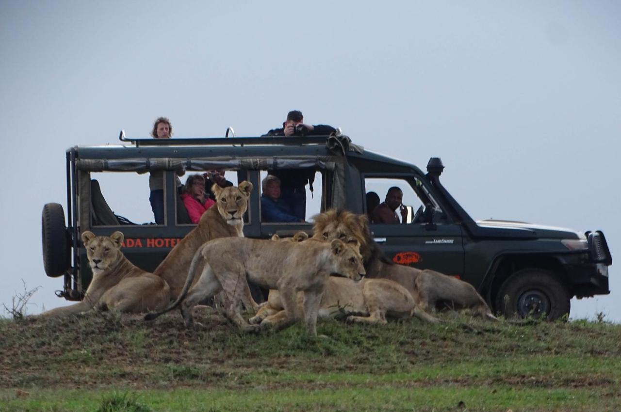 Fig Tree Camp - Maasai Mara Otel Talek Dış mekan fotoğraf