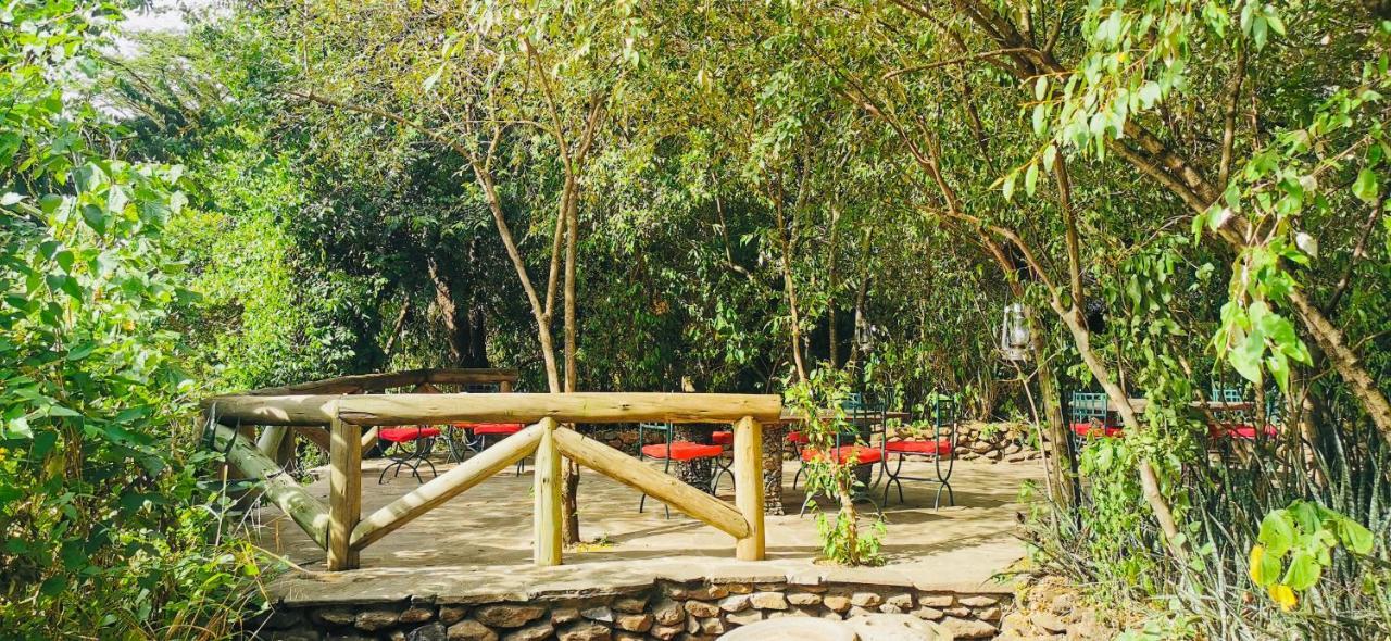 Fig Tree Camp - Maasai Mara Otel Talek Dış mekan fotoğraf