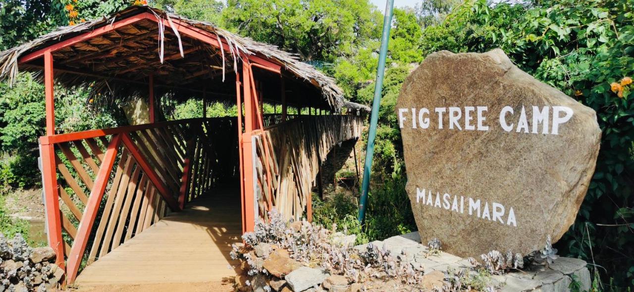 Fig Tree Camp - Maasai Mara Otel Talek Dış mekan fotoğraf