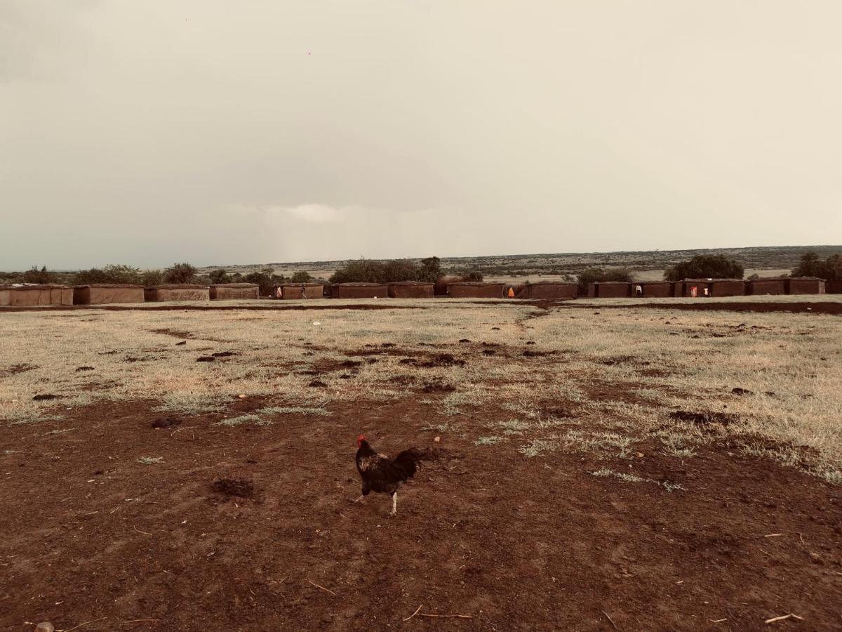 Fig Tree Camp - Maasai Mara Otel Talek Dış mekan fotoğraf
