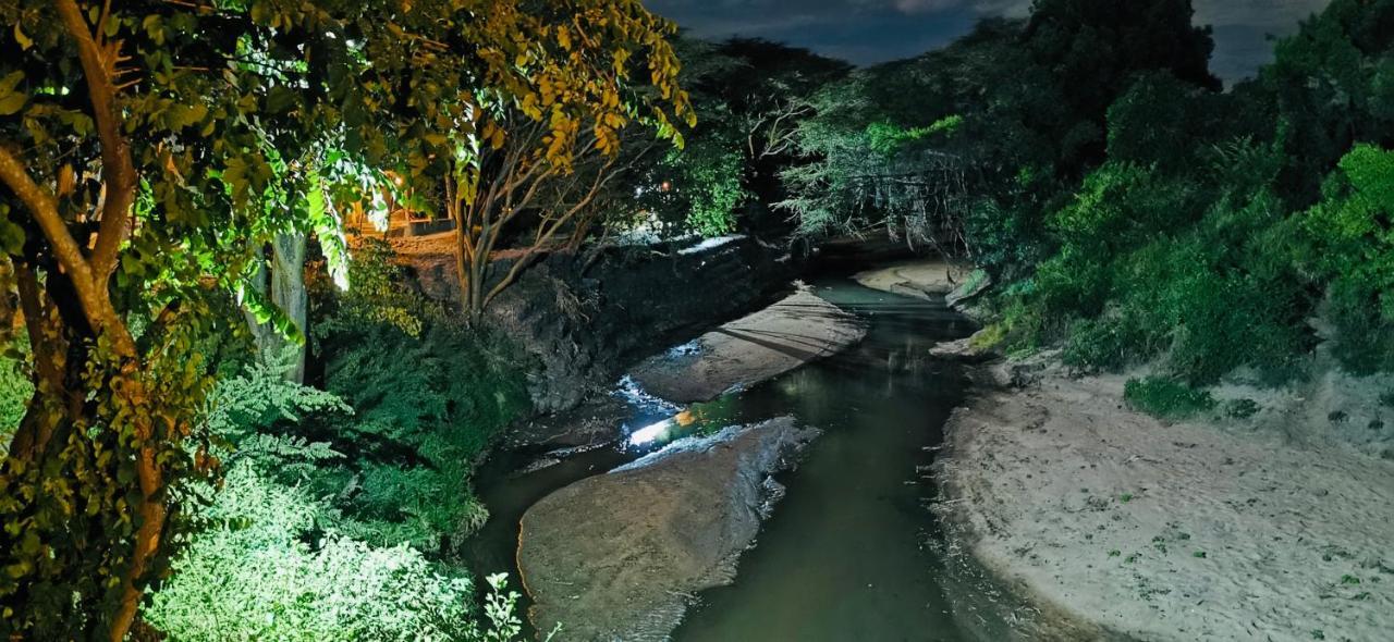 Fig Tree Camp - Maasai Mara Otel Talek Dış mekan fotoğraf