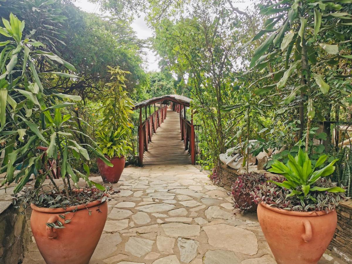 Fig Tree Camp - Maasai Mara Otel Talek Dış mekan fotoğraf