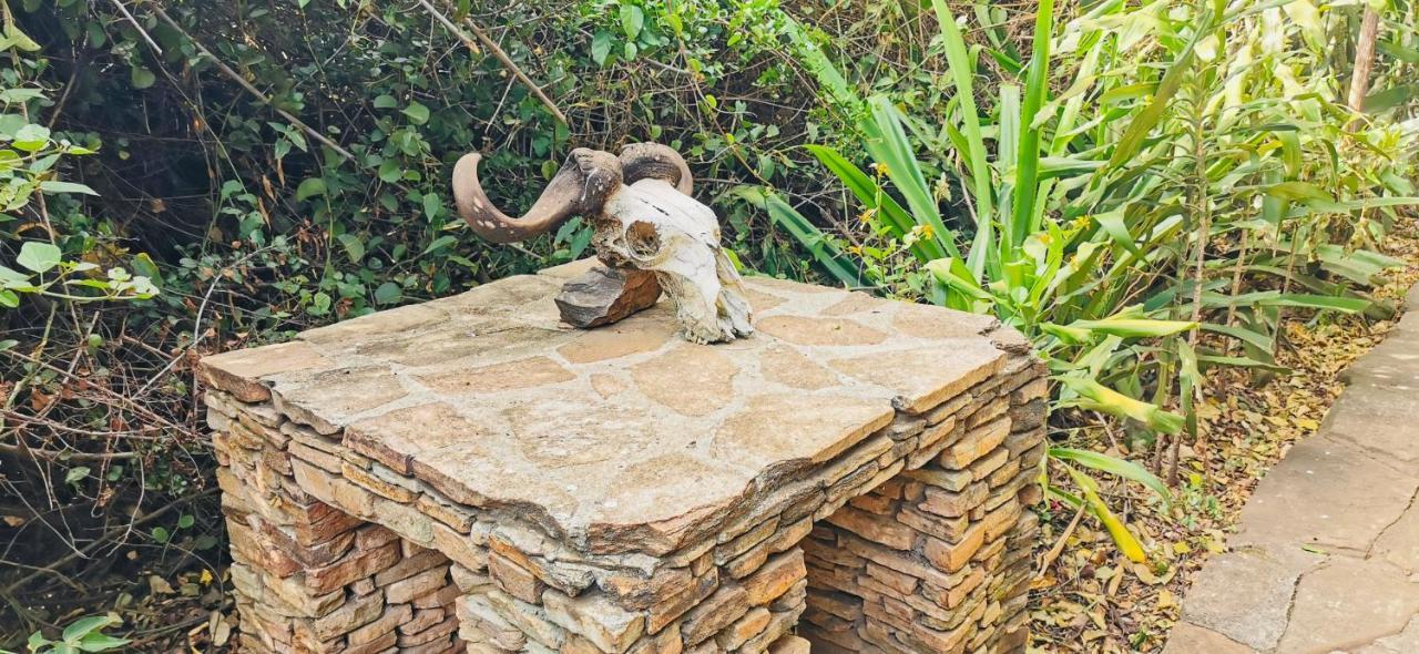 Fig Tree Camp - Maasai Mara Otel Talek Dış mekan fotoğraf